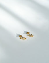 Load image into Gallery viewer, Snizel Stud Earrings - Waterproof
