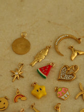 Load image into Gallery viewer, 1pc Easy Fish Charm - Waterproof