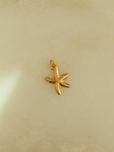 Load image into Gallery viewer, 1pc Skinny Blaze Charm - Waterproof