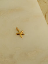 Load image into Gallery viewer, 1pc Skinny Blaze Charm - Waterproof