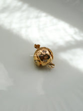 Load image into Gallery viewer, Di Star Earrings - Waterproof