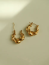Load image into Gallery viewer, Swedi Earrings - Waterproof
