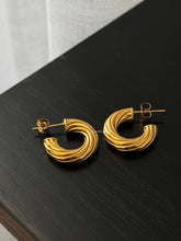 Load image into Gallery viewer, Baka Earrings - Waterproof