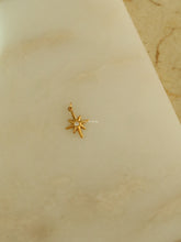 Load image into Gallery viewer, 1pc Queen Star Charm - Waterproof