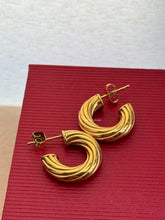 Load image into Gallery viewer, Baka Earrings - Waterproof