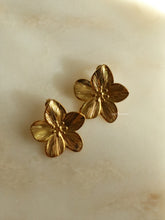 Load image into Gallery viewer, Honeyed Flower Earrings - Waterproof