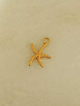 Load image into Gallery viewer, 1pc Skinny Landara Charm - Waterproof