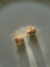 Load image into Gallery viewer, Gibri CZ Earrings - Waterproof
