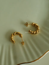 Load image into Gallery viewer, Pavro Earrings - Waterproof