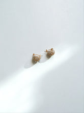 Load image into Gallery viewer, Gibri CZ Earrings - Waterproof
