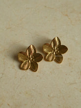 Load image into Gallery viewer, Honeyed Flower Earrings - Waterproof