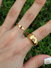 Load image into Gallery viewer, Alok CZ Deep Ring