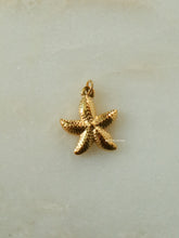 Load image into Gallery viewer, 1pc Staroad Charm - Waterproof