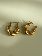 Load image into Gallery viewer, Swedi Earrings - Waterproof