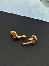 Load image into Gallery viewer, Ralf Earrings - Waterproof