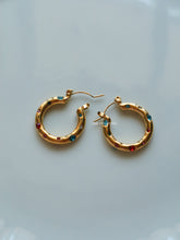 Load image into Gallery viewer, Coral Cubic Earrings - Waterproof