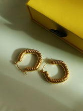 Load image into Gallery viewer, Joolin Earrings - Waterproof