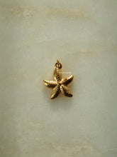 Load image into Gallery viewer, 1pc Staroad Charm - Waterproof