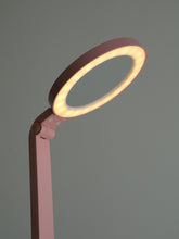 Load image into Gallery viewer, Forest 6W Desk Lamp & Lighting