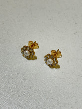 Load image into Gallery viewer, Zanabi Earrings - Waterproof