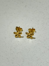 Load image into Gallery viewer, Eviea Earrings - Waterproof
