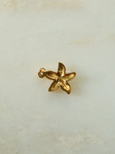 Load image into Gallery viewer, 1pc Staroad Charm - Waterproof