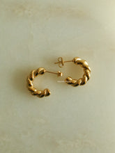 Load image into Gallery viewer, Pavro Earrings - Waterproof