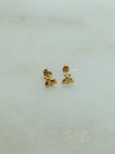 Load image into Gallery viewer, Flying Nol Earrings - Waterproof