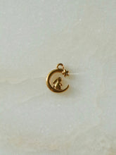 Load image into Gallery viewer, 1pc Ani Rabbit Charm - Waterproof