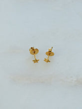 Load image into Gallery viewer, Small Star Stud Earrings - Waterproof