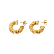 Load image into Gallery viewer, Baka Earrings - Waterproof