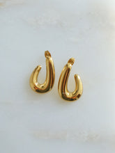 Load image into Gallery viewer, Vaynee Curve Earrings - Waterproof