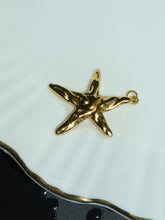 Load image into Gallery viewer, 1pc Biggie Starfish Charm - Waterproof