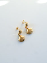 Load image into Gallery viewer, Towgee Shell Earrings - Waterproof
