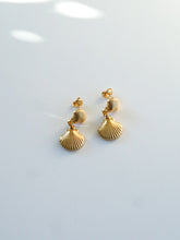 Load image into Gallery viewer, Towgee Shell Earrings - Waterproof
