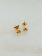 Load image into Gallery viewer, Ovangka Stud Earrings - Waterproof
