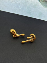 Load image into Gallery viewer, Ralf Earrings - Waterproof
