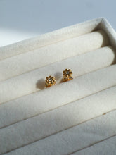 Load image into Gallery viewer, Eabi Stud Earrings - Waterproof
