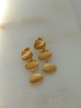 Load image into Gallery viewer, Woodi Shell Earrings - Waterproof
