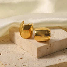 Load image into Gallery viewer, Davichi Earrings - Waterproof

