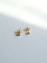 Load image into Gallery viewer, Habana Stud Earrings - Waterproof
