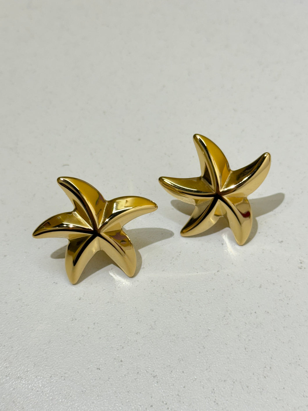 Starfish Earrings - Waterproof