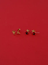 Load image into Gallery viewer, Flying Friends Earrings Set - Waterproof
