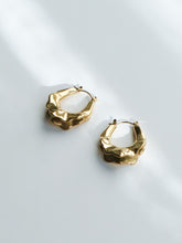 Load image into Gallery viewer, Deep Gorge Gold Earrings
