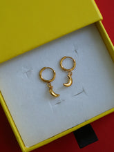 Load image into Gallery viewer, Moonie Drop Earrings - Waterproof
